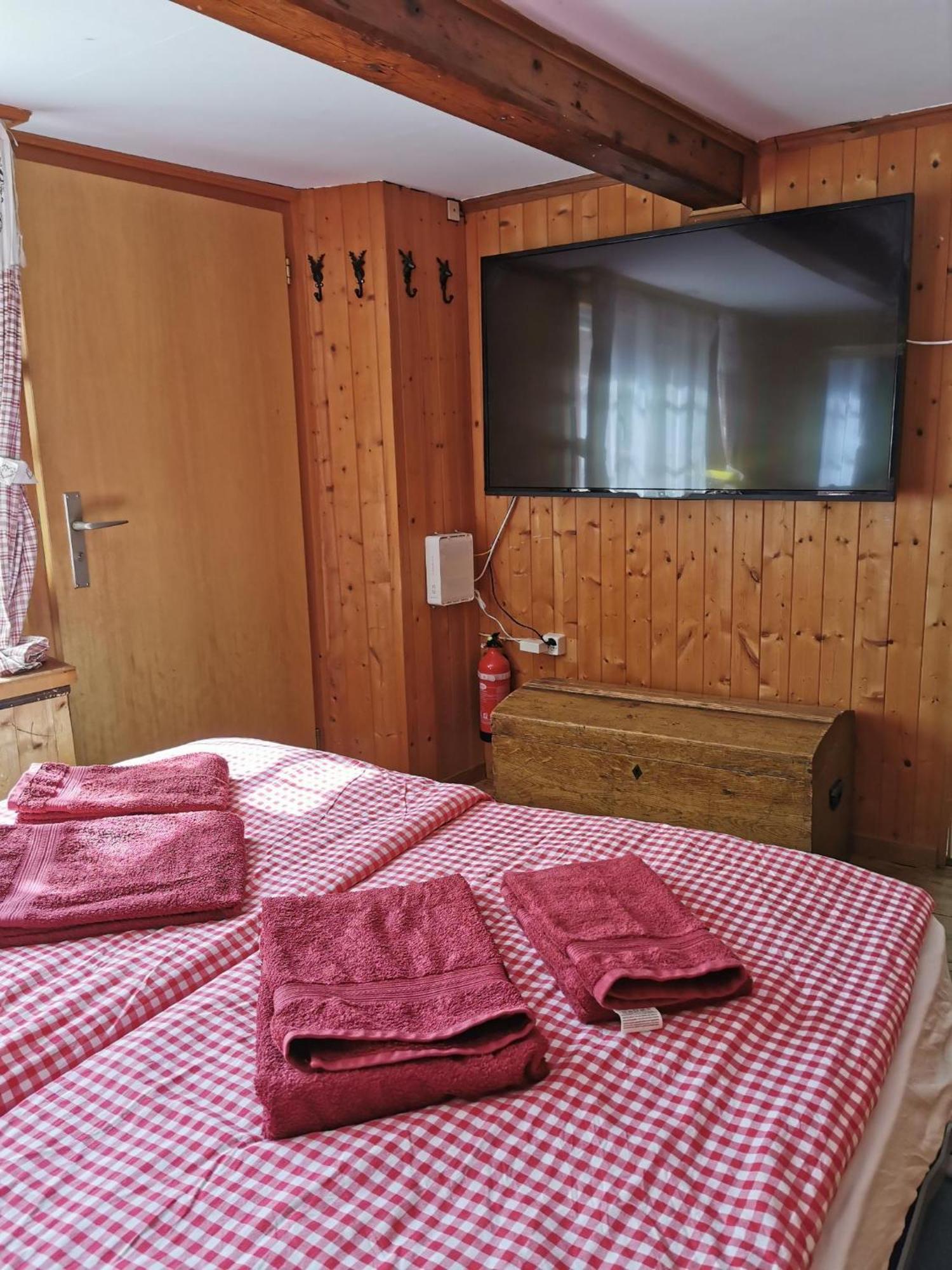 Holiday Apartment In Swiss Alps 格施泰格维勒 外观 照片